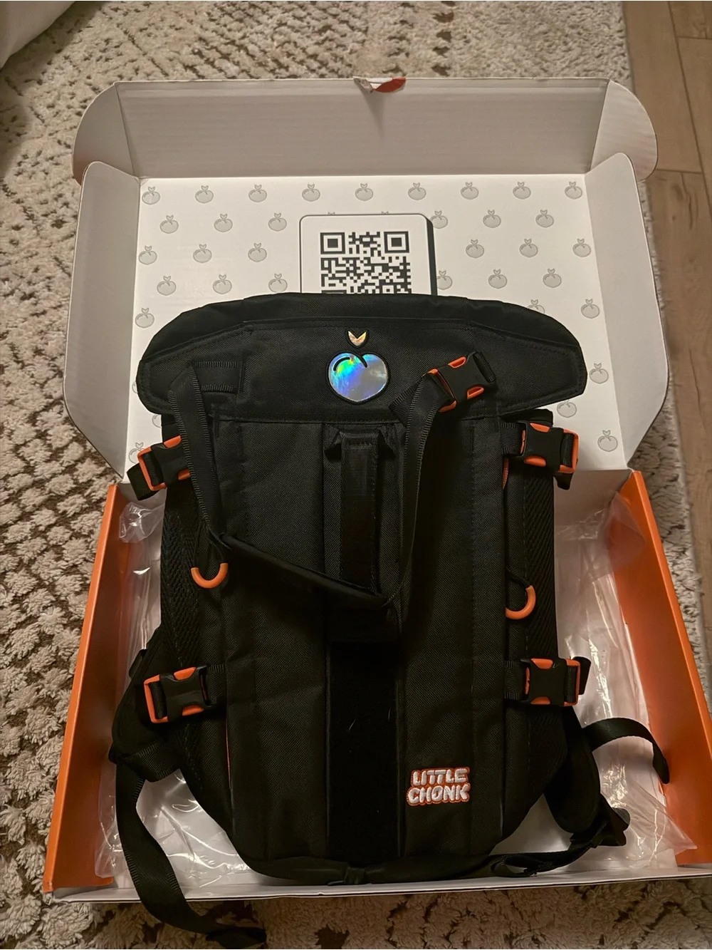 Small dog backpack NWT